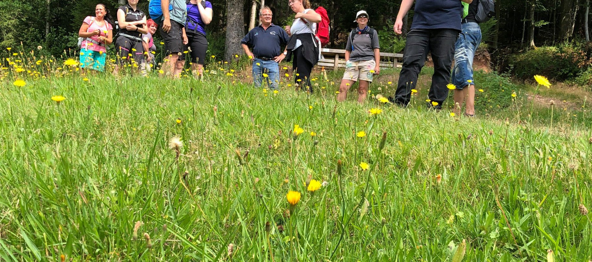 GENUSSWANDERN AM WIESENSTEIG - MEHR ALS EIN GENUSS