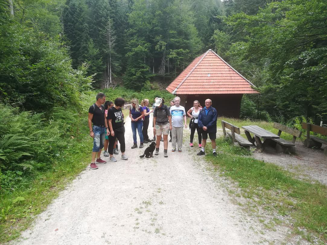 GENUSSWANDERN AM WIESENSTEIG - EIN RUNDUM GELUNGENES ERLEBNIS