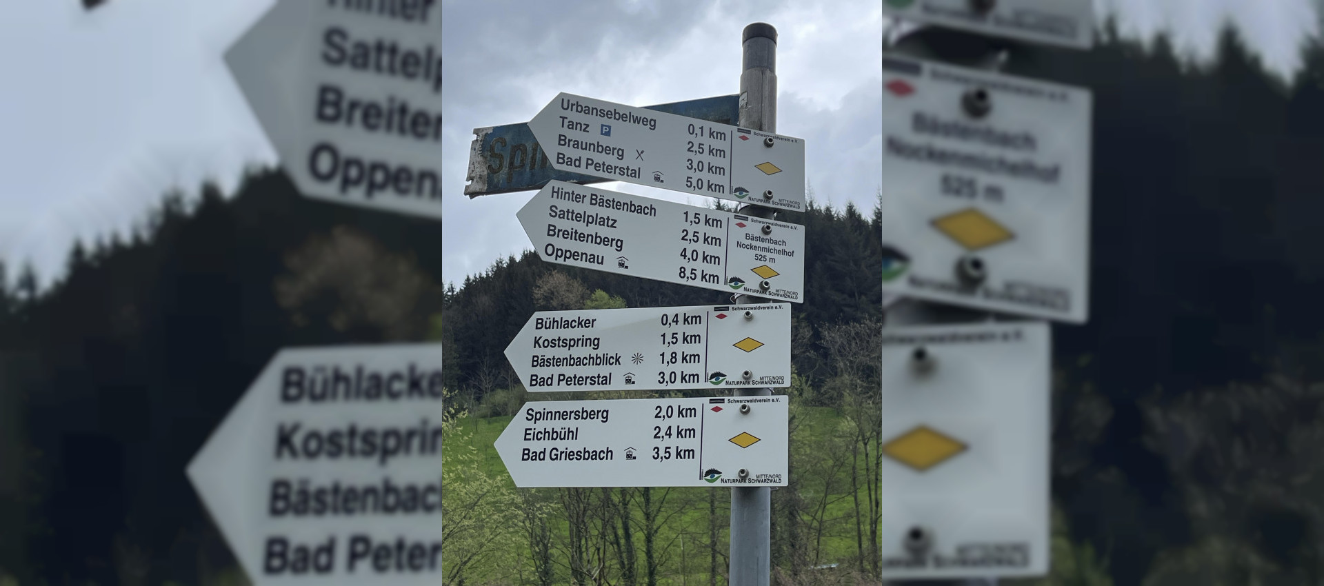 Frischer Wind im Schwarzwaldverein