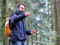Pilzwanderung