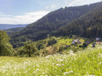 Wanderopening in Bad Peterstal-Griesbach