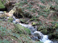 Afterwork- Wanderung
